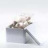 Ayurvedica Detox Herbal Tea