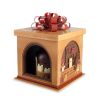 A Magic Christmas Box