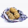Alba white truffle