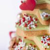 Xmas tree cookie
