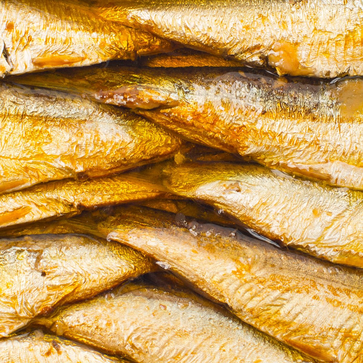Baltic Sea sprats in oil