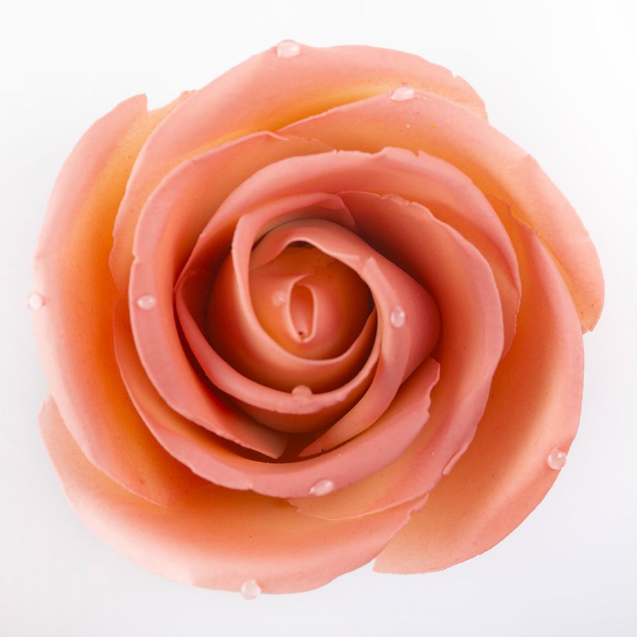 Fleur de Rose