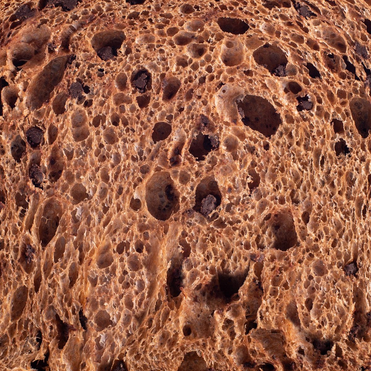 Chocolate panettone cake