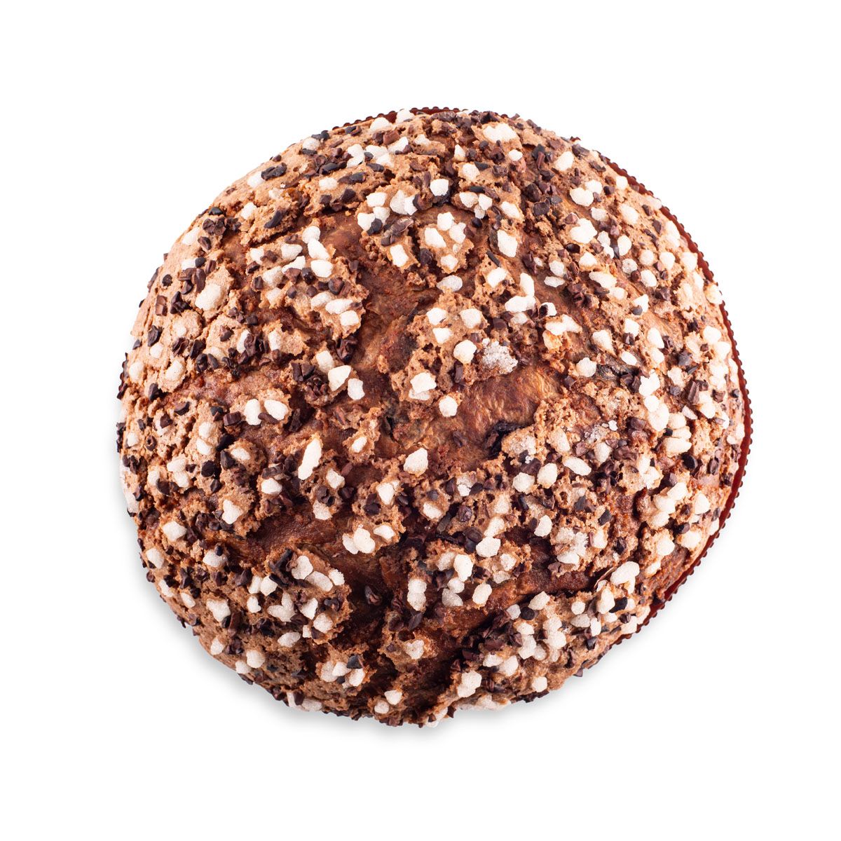 Chocolate Panettone