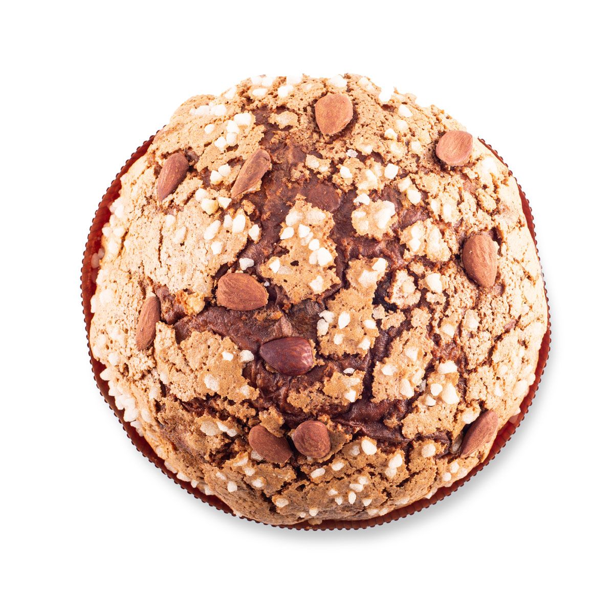 Traditional Panettone