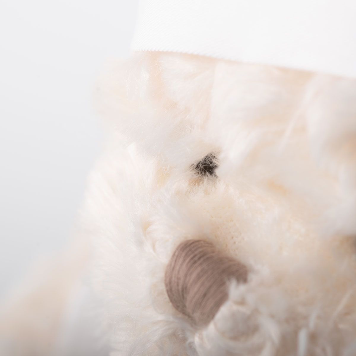 Teddy bear