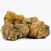 Alba white truffle
