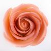 Fleur de Rose
