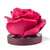 Fleur de Cacao