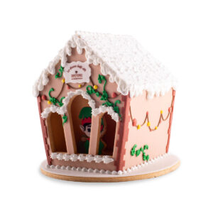 The Elf house