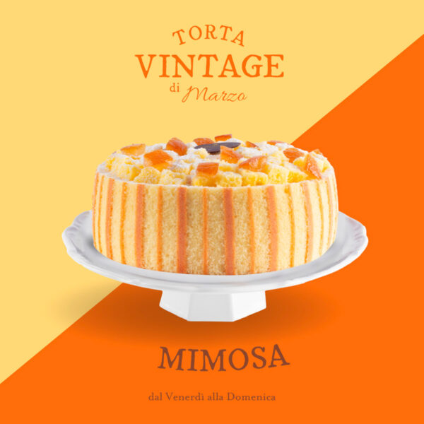 Mimosa